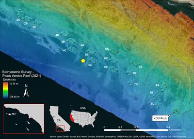 Rebirth of a reef: As-built description and rapid returns from the Palos Verdes Reef Restoration Project